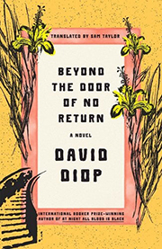 Cover image for "Beyond the Door"